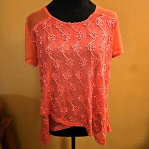 Floral Embroidered Sheer Pink Top